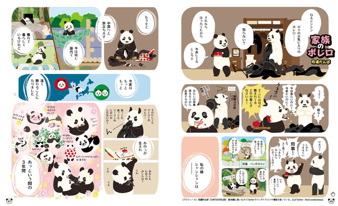 画像12