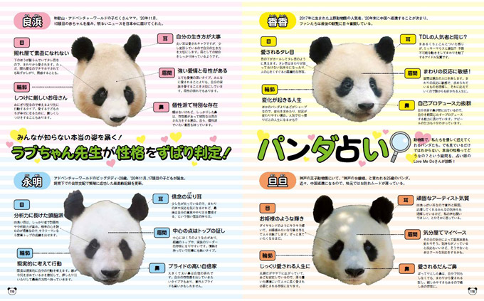 画像14